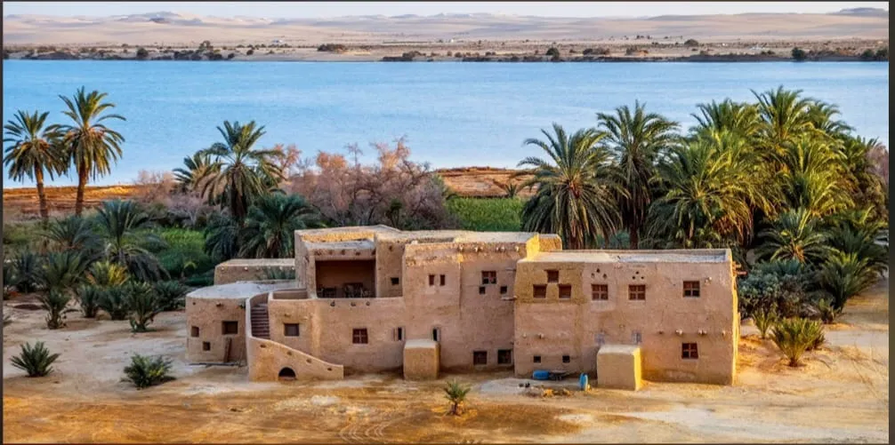 🌴✨ Siwa Oasis 4 Days / 3 Nights Program ✨🏜️ -siwa-oasis-4-days-3-nights-program-/IMG-20260705-WA0018.jpg