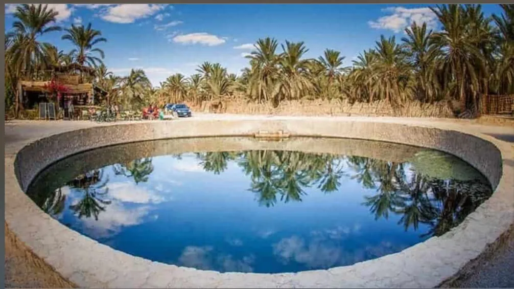 🌴🏜️ SIWA OASIS TOUR – 2 DAYS / 1 NIGHT 🏜️🌴 ✨ Escape to Egypt’s Hidden Desert Paradise ✨ ━━━━━━━━━━━━━━━━━━━━━━ Siwa Oasis -siwa-oasis-tour-2-days-1-night-escape-to-egypts-hidden-desert-paradise-siwa-oasis/IMG-20260705-WA0006.jpg