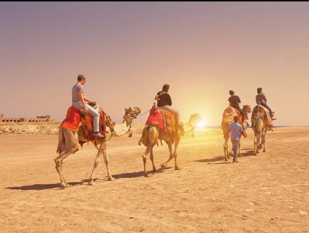 🏜️🌅 Super Safari Adventure – Marsa Alam -super-safari-adventure-marsa-alam/IMG-20260702-WA0232.jpg