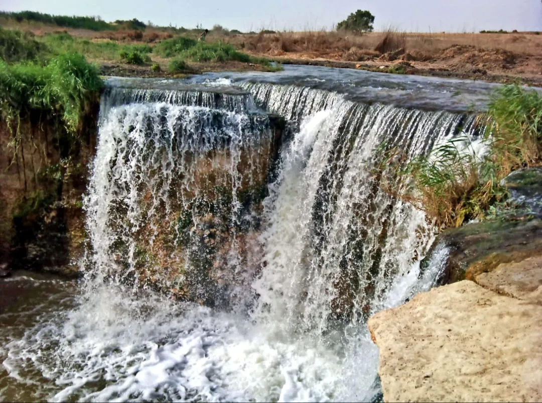💦🌴 Wadi El Rayan Waterfalls | Full-Day Nature Escape -wadi-el-rayan-waterfalls-full-day-nature-escape/IMG-20260705-WA0121.jpg