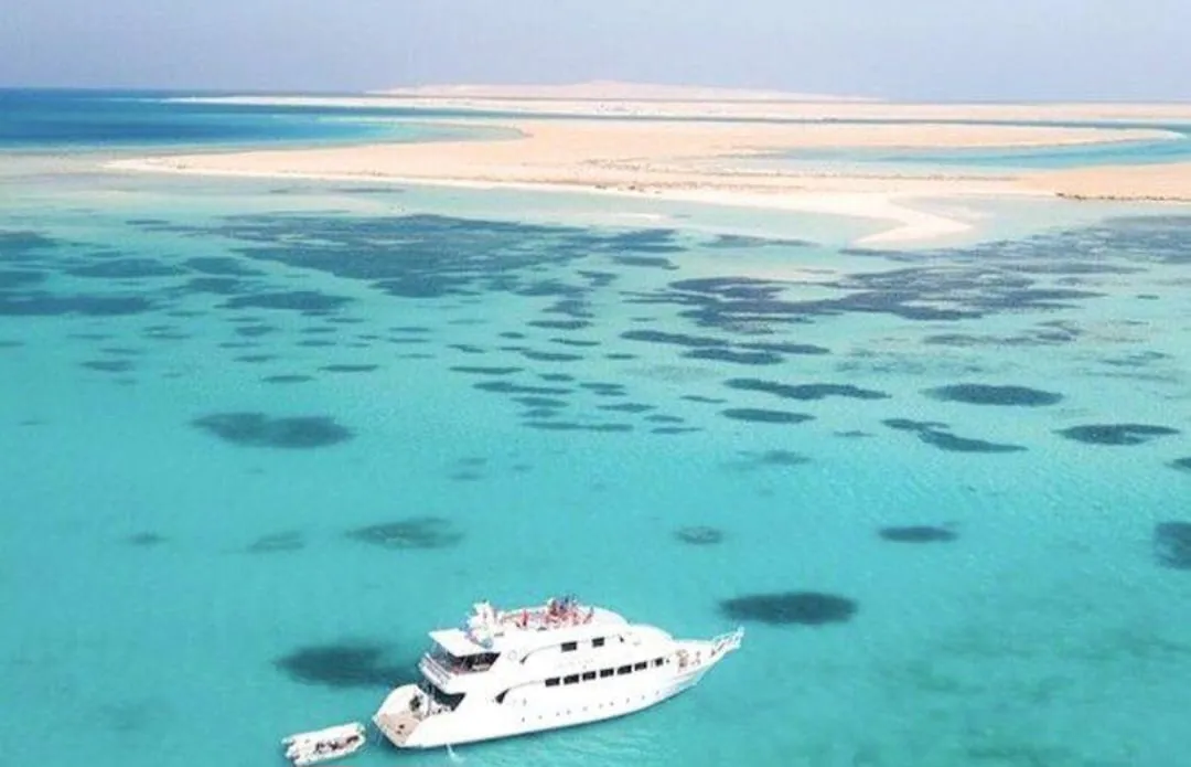 🤍🏝️ White Island Boat Trip – Sharm El Sheikh -white-island-boat-trip-sharm-el-sheikh/IMG-20260704-WA0147.jpg