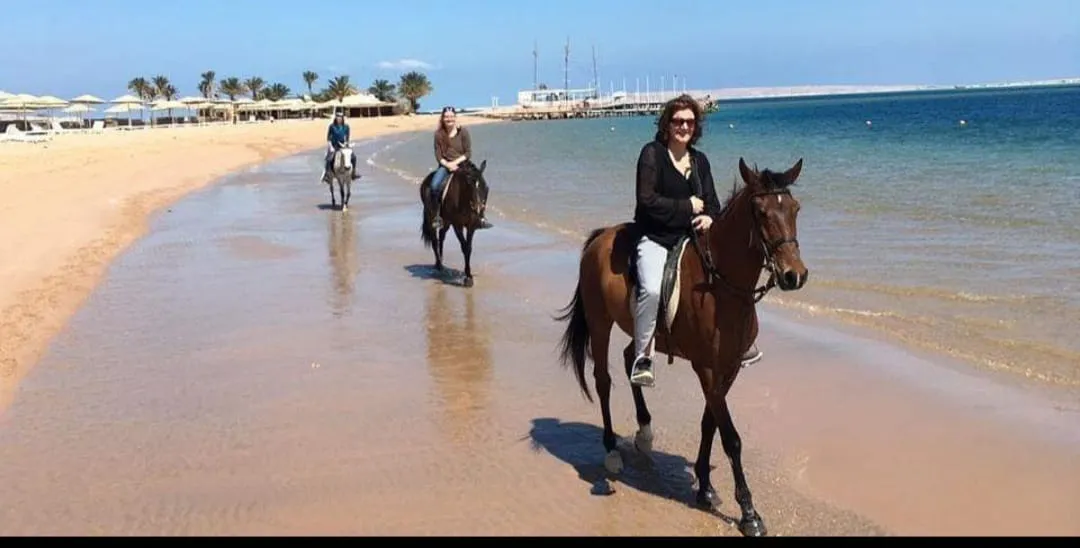 🐎✨ Horse Riding Adventure in El Gouna 🌅🏖️ Horse-Riding-Adventure-in-EL-Gouna/IMG-20260702-WA0120.jpg
