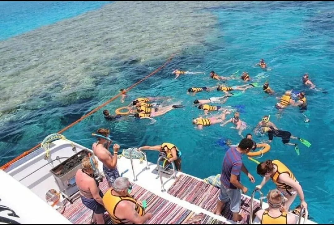🐢 Marsa Mubarak Snorkeling Adventure Marsa-Mubarak-snorkeling/IMG-20260703-WA0061.jpg