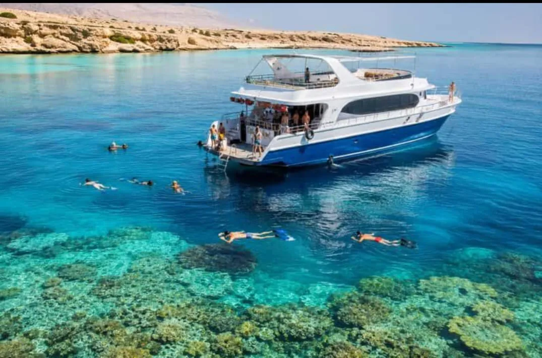 Paradise island 🏝️🏝️ trip from El Gouna Paradise-island/IMG-20260701-WA0134.jpg