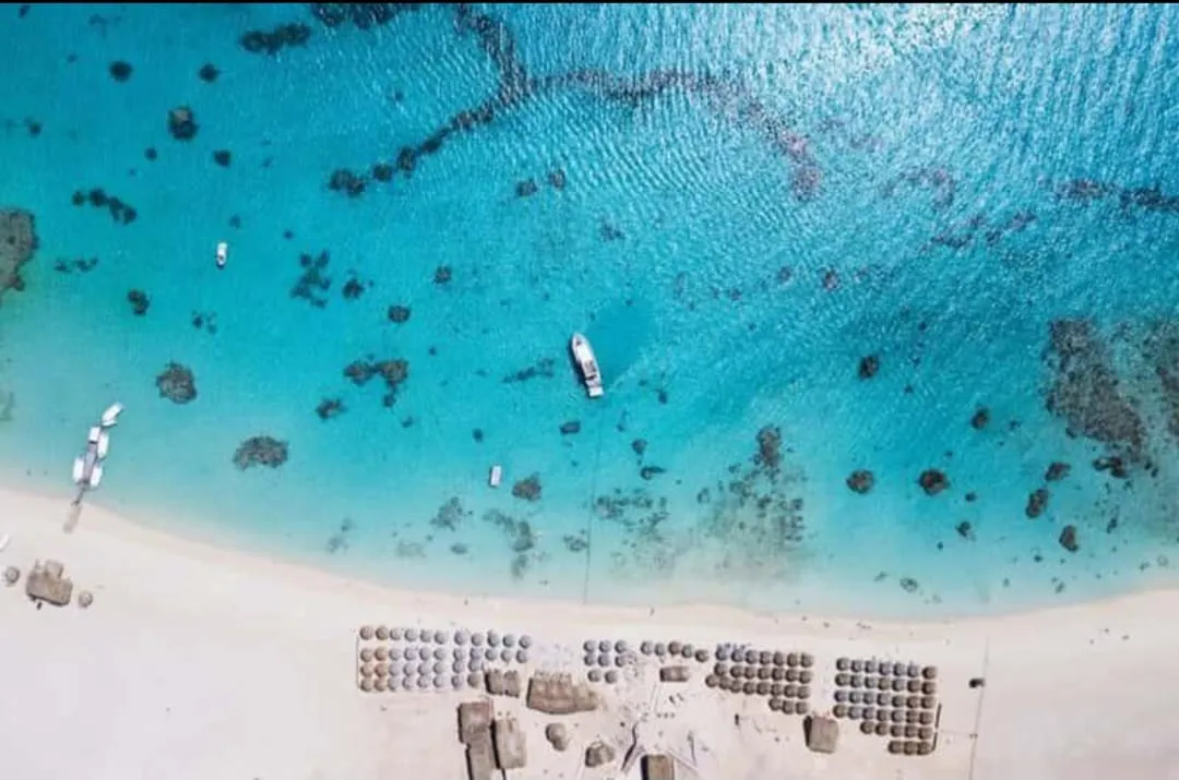 Paradise island 🏝️🏝️ trip from El Gouna Paradise-island/IMG-20260701-WA0135.jpg