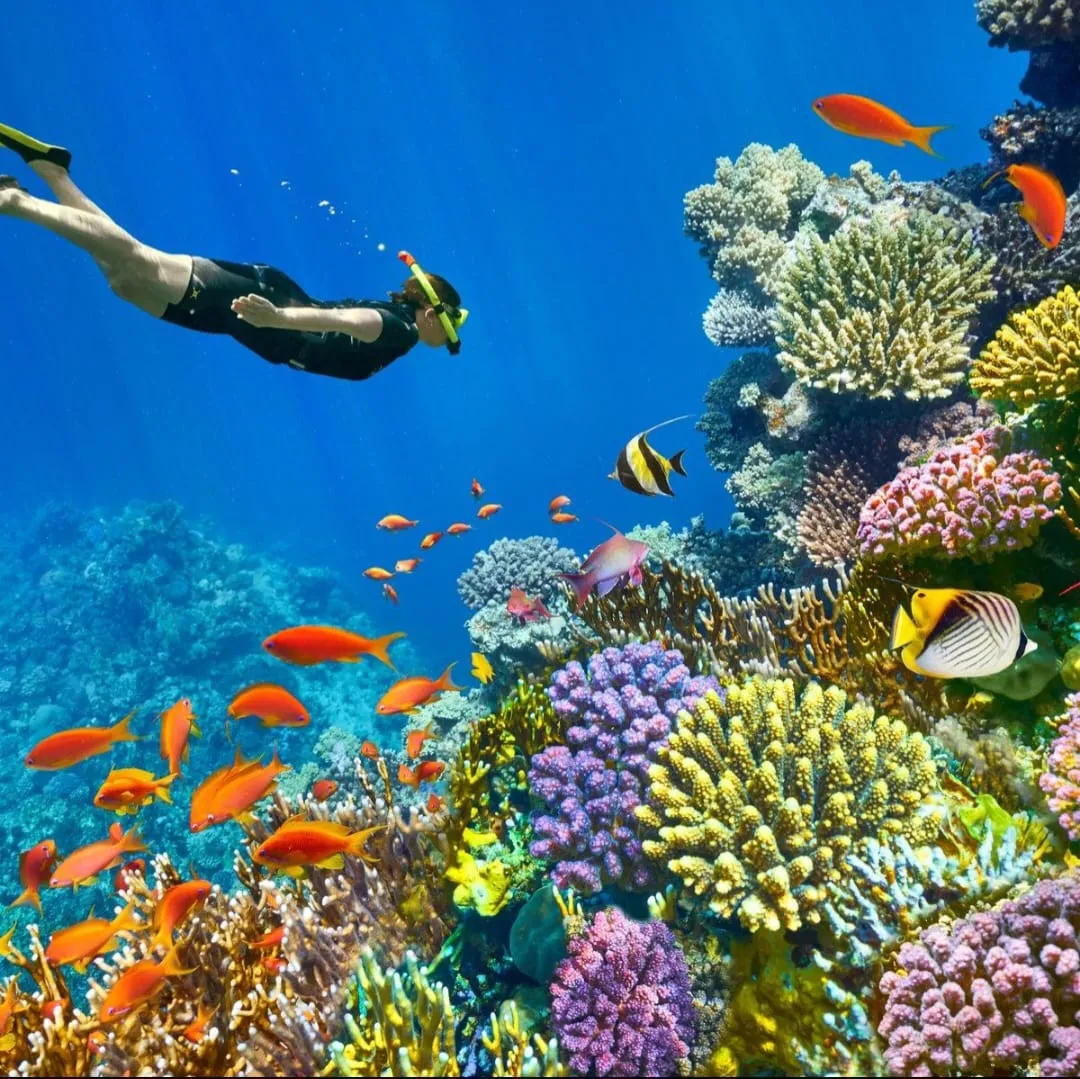 Paradise island 🏝️🏝️ trip from El Gouna Paradise-island/IMG-20260701-WA0136.jpg