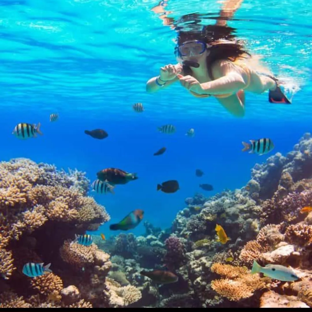Paradise island 🏝️🏝️ trip from El Gouna Paradise-island/IMG-20260701-WA0143.jpg