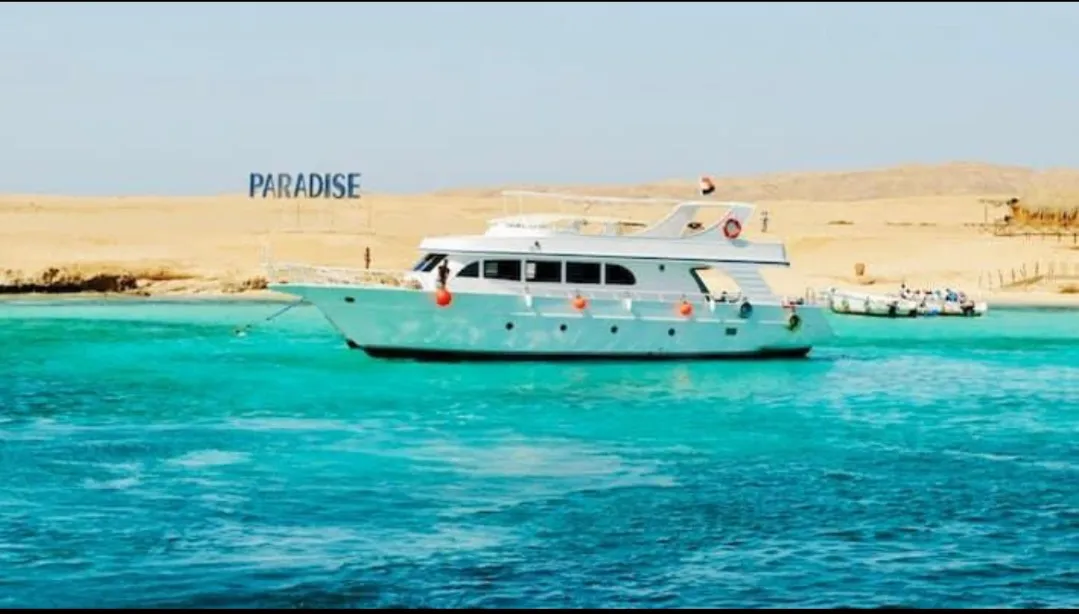 🌴✨ Paradise Island Trip from El Gouna 🏝️🌊 Paradise-trip-island/Screenshot_٢٠٢٦٠٧٠٢_١٩٥٠٥٨_ChatGPT.jpg