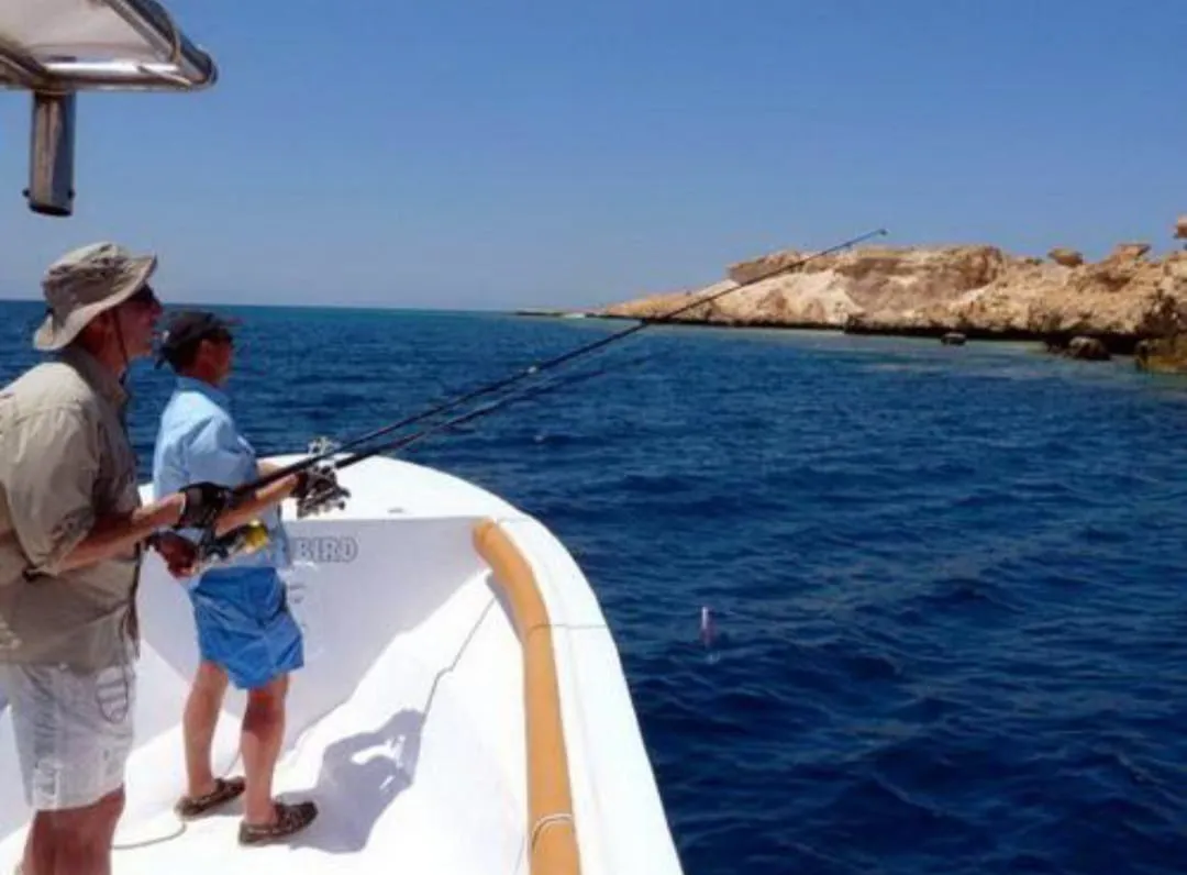 🎣✨ Private Fishing Trip in El Gouna 🛥️🐟 Private-Fishing-trip-in-EL-Gouna/IMG-20260702-WA0090.jpg