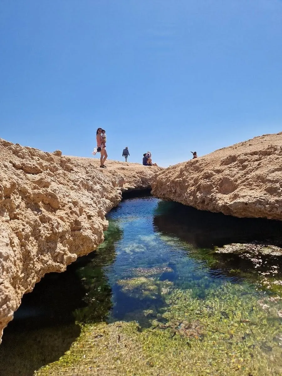 🏝️ Sharm El Sheikh Tour Ras Mohammed • Snorkeling • Luxury Yacht Experience Ras-mohammed-snorkeling-Yacht/FB_IMG_1783086779434.jpg