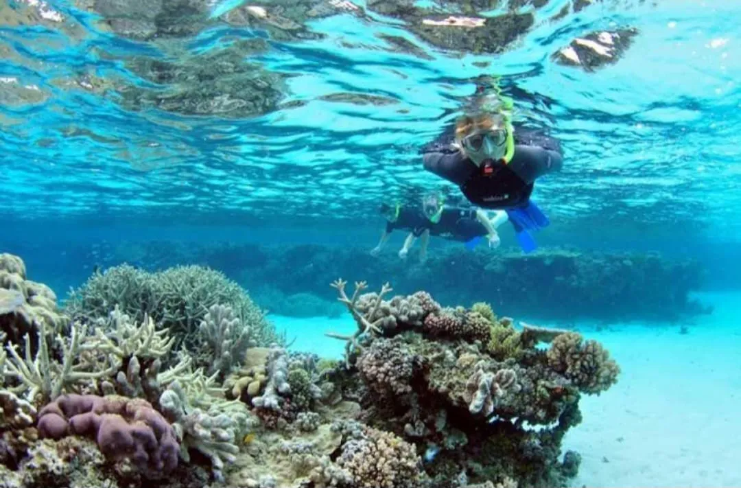 🏝️ Sharm El Sheikh Tour Ras Mohammed • Snorkeling • Luxury Yacht Experience Ras-mohammed-snorkeling-Yacht/IMG-20260703-WA0133.jpg