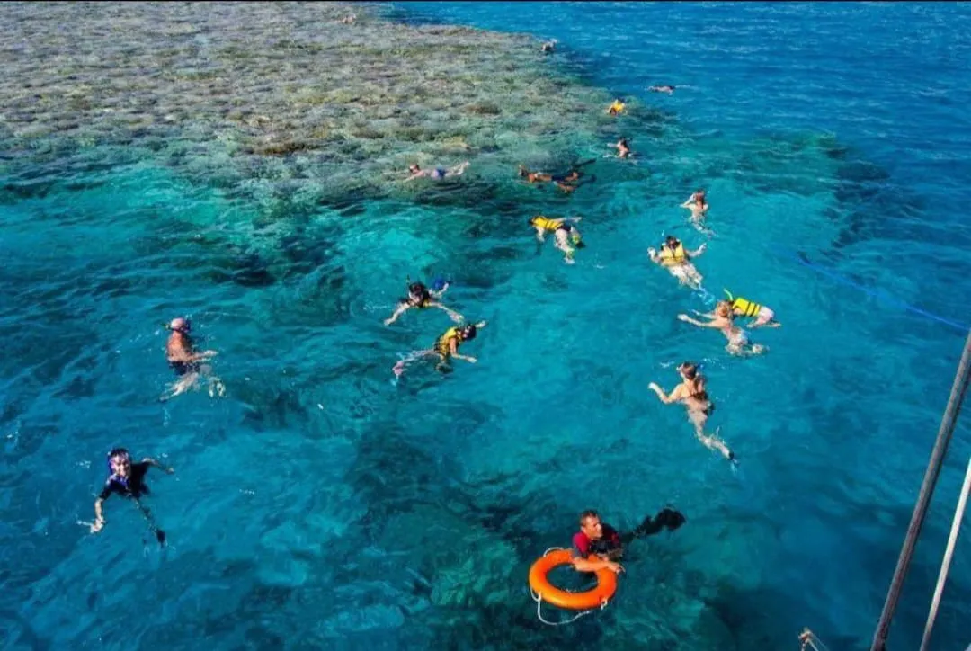 🏝️ Sharm El Sheikh Tour Ras Mohammed • Snorkeling • Luxury Yacht Experience Ras-mohammed-snorkeling-Yacht/IMG-20260703-WA0135.jpg