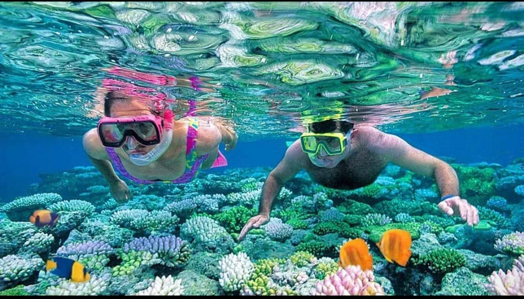 🏝️ Sharm El Sheikh Tour Ras Mohammed • Snorkeling • Luxury Yacht Experience Ras-mohammed-snorkeling-Yacht/IMG-20260703-WA0149.jpg