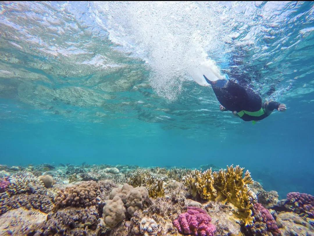 🏝️ Sharm El Sheikh Tour Ras Mohammed • Snorkeling • Luxury Yacht Experience Ras-mohammed-snorkeling-Yacht/IMG-20260703-WA0155.jpg