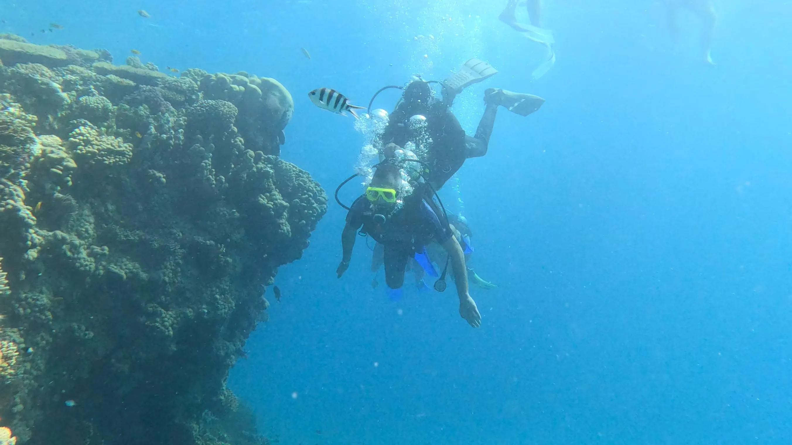 Scuba diving 🤿 trip from El Gouna Scuba-diving/IMG-20251121-WA0007.jpg