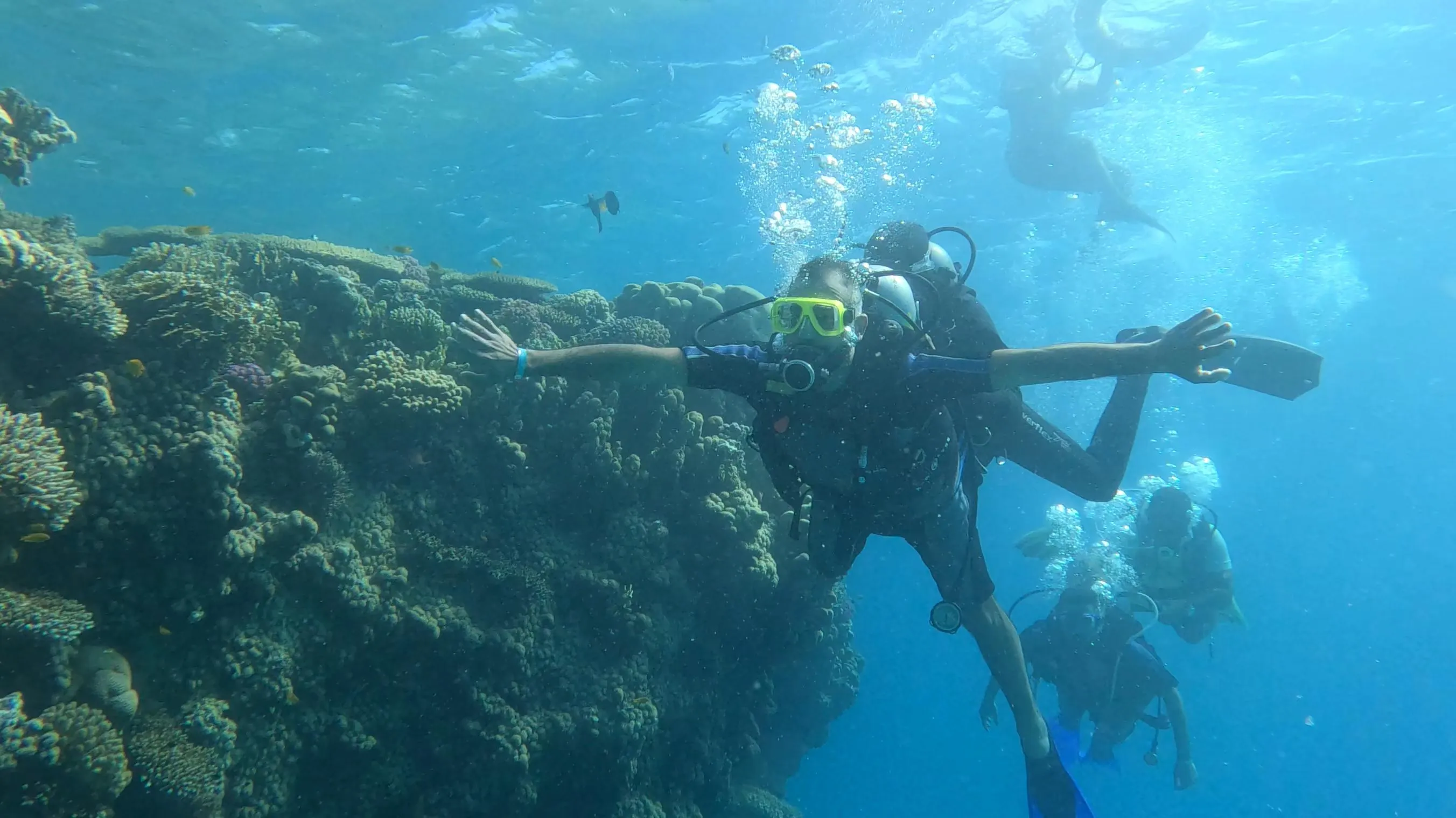 Scuba diving 🤿 trip from El Gouna Scuba-diving/IMG-20251121-WA0009.jpg