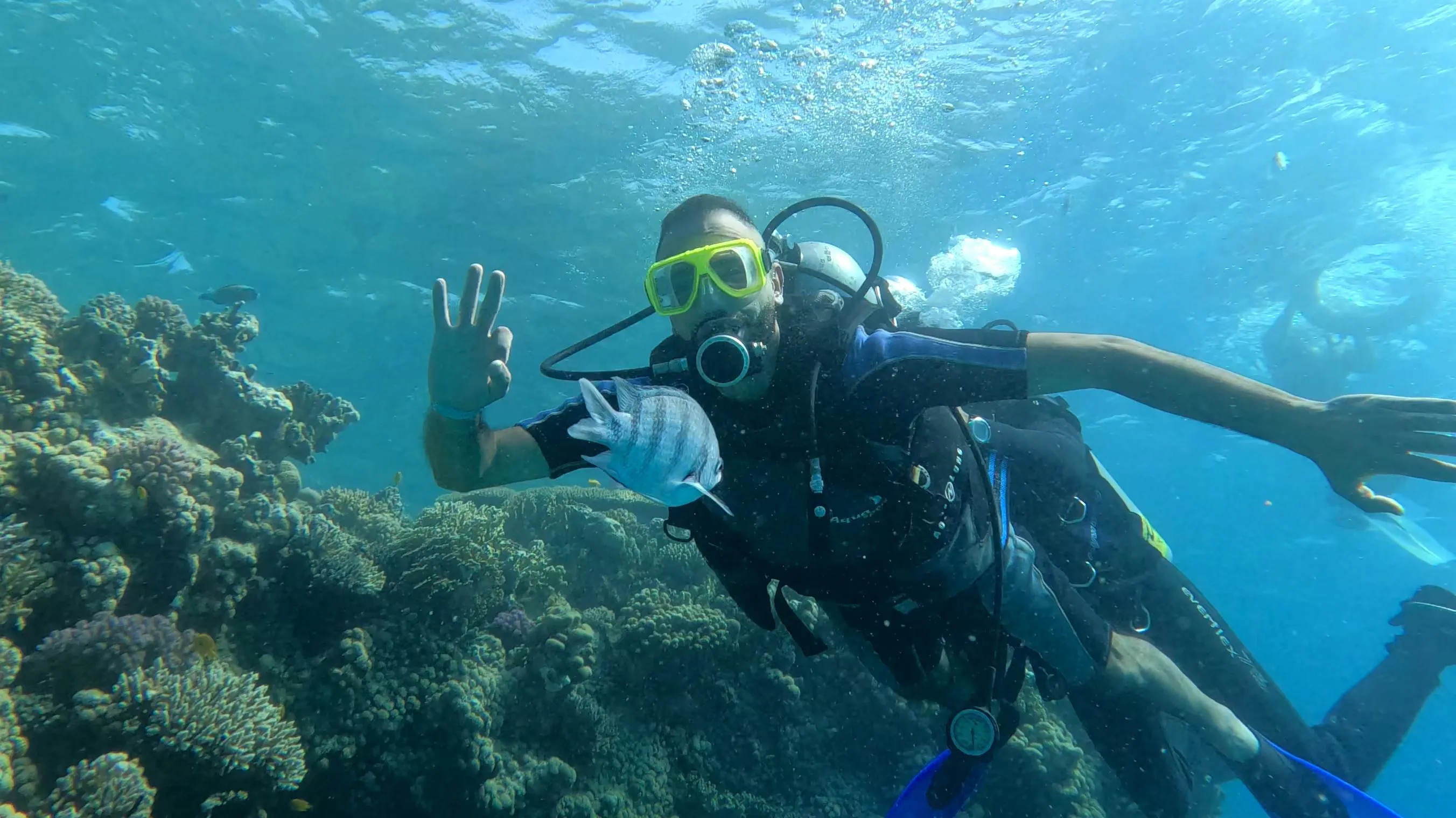 Scuba diving 🤿 trip from El Gouna Scuba-diving/IMG-20251121-WA0010.jpg
