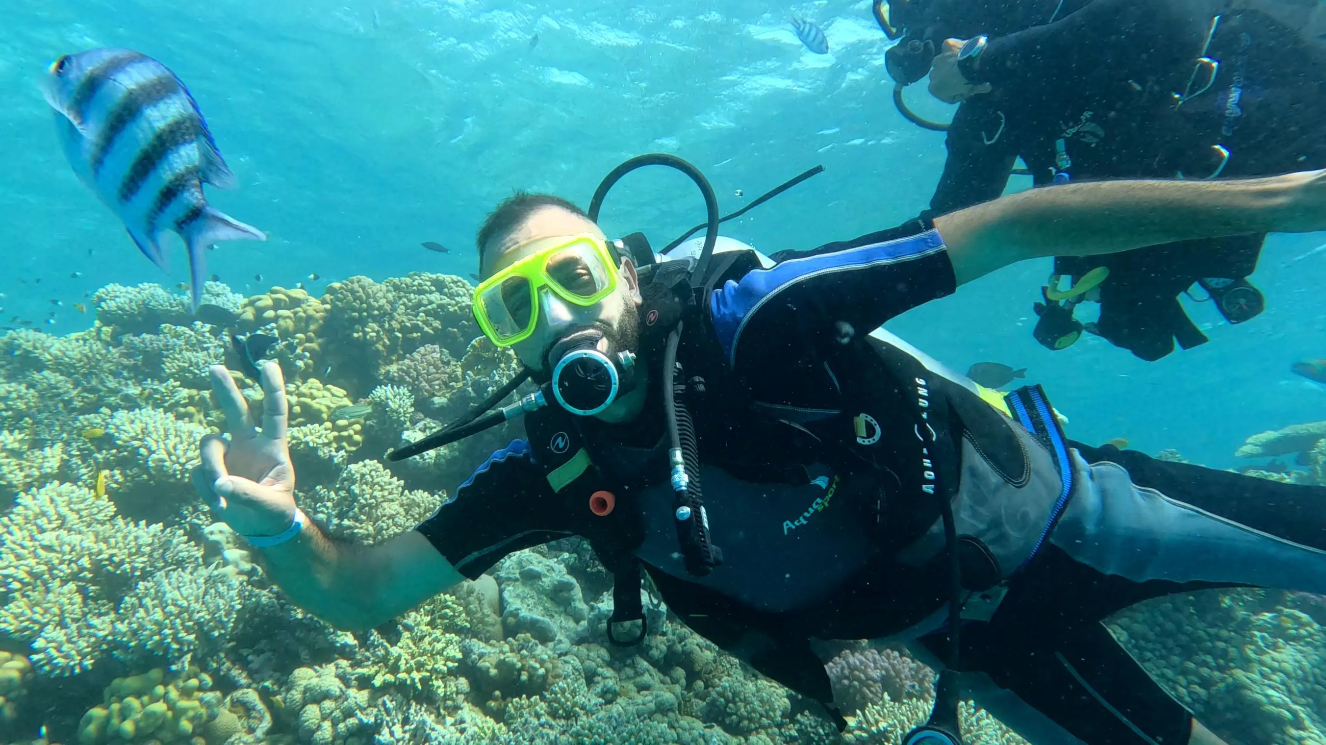 Scuba diving 🤿 trip from El Gouna Scuba-diving/IMG-20251121-WA0011.jpg