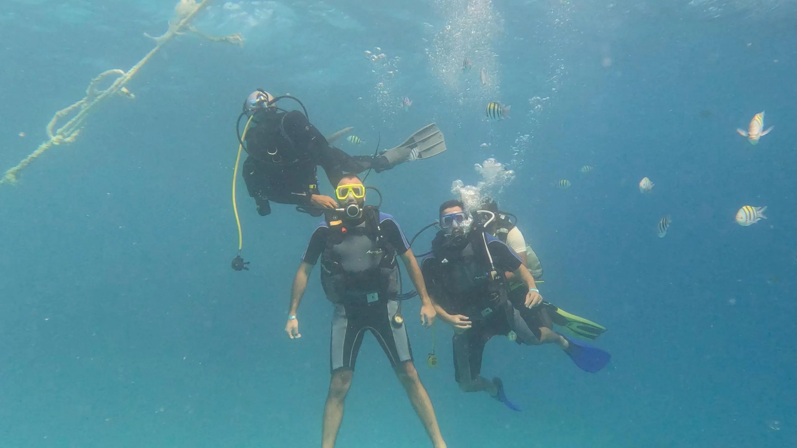 Scuba diving 🤿 trip from El Gouna Scuba-diving/IMG-20251121-WA0014.jpg