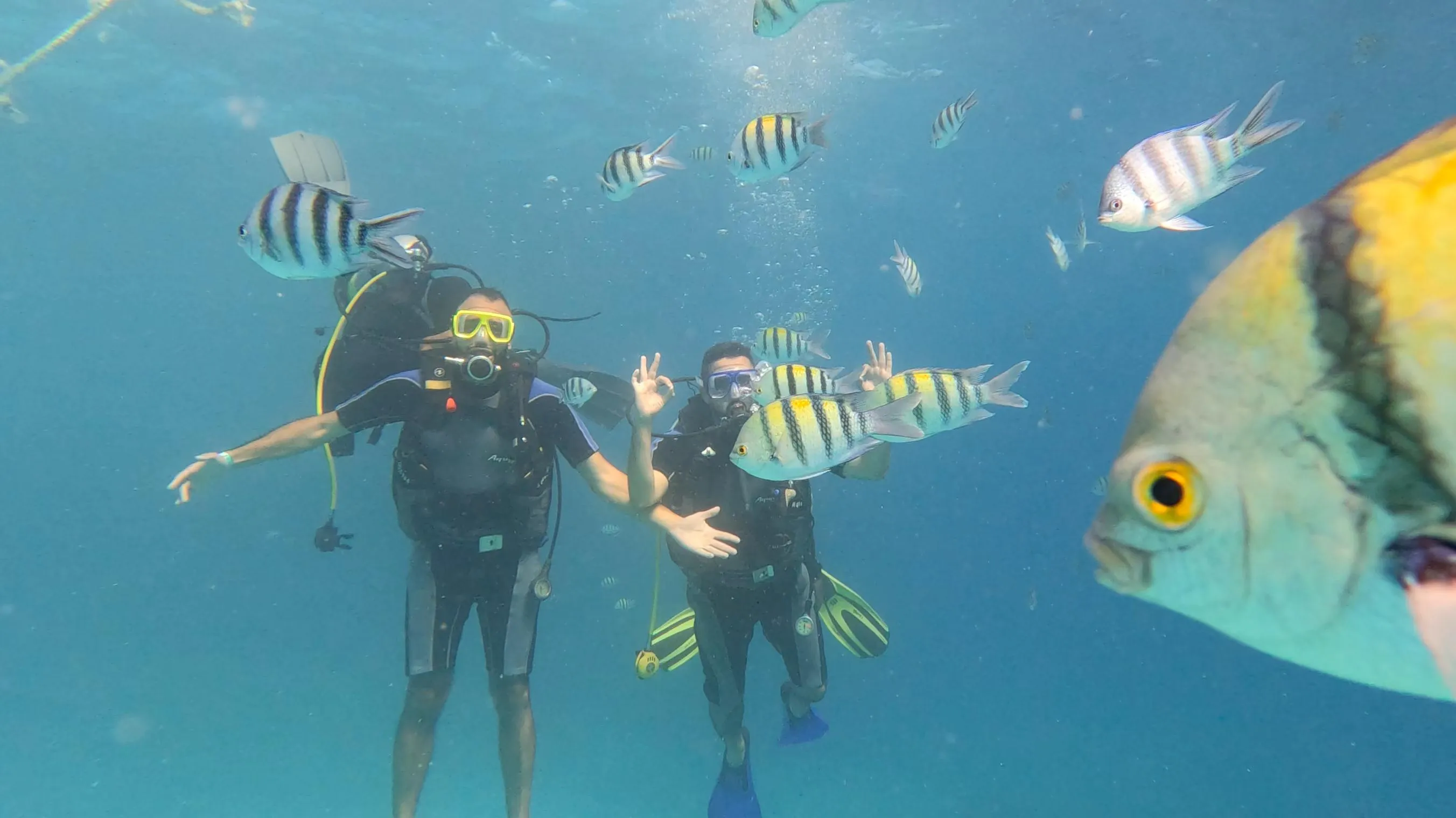 Scuba diving 🤿 trip from El Gouna Scuba-diving/IMG-20251121-WA0016.jpg