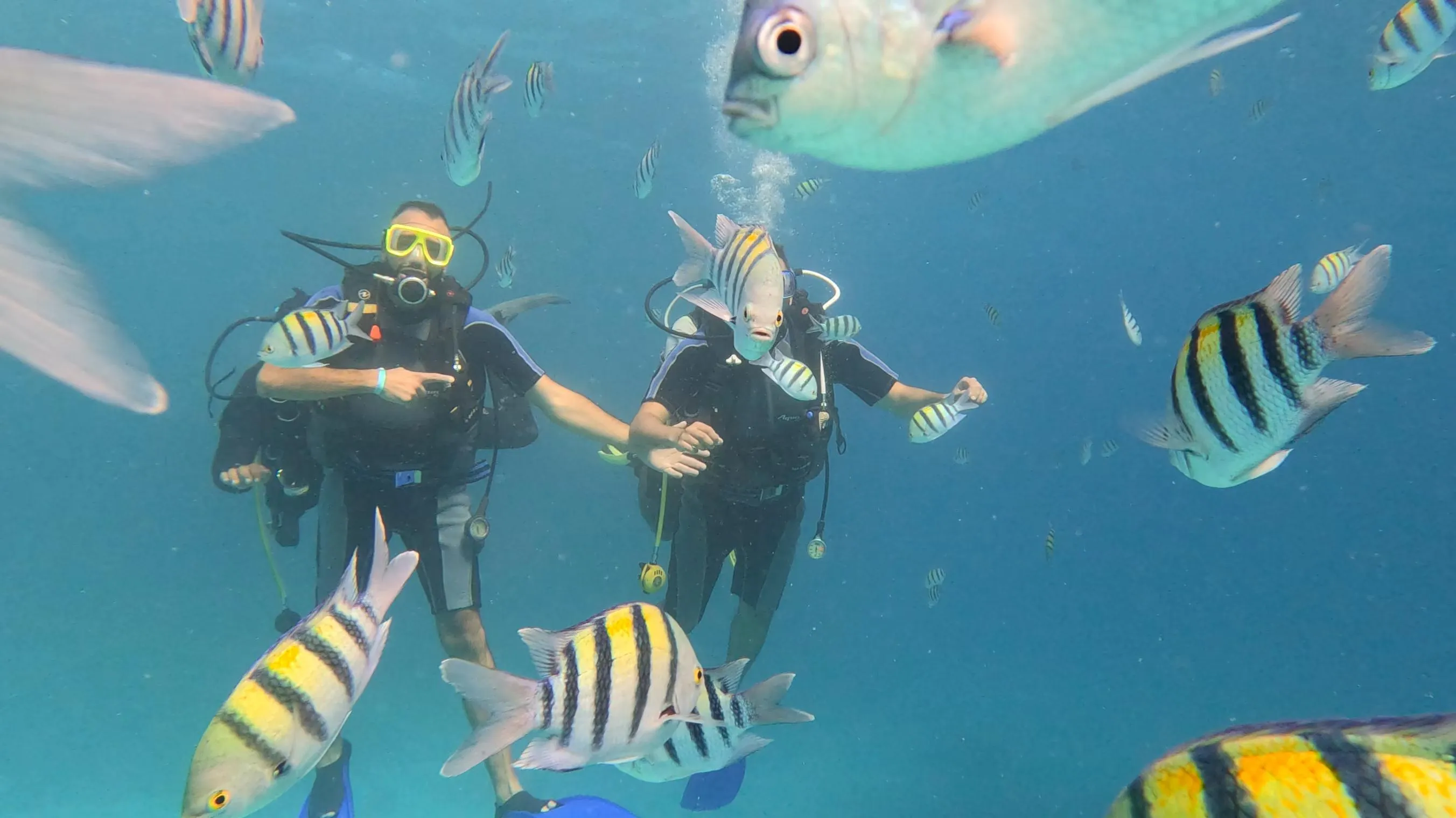 Scuba diving 🤿 trip from El Gouna Scuba-diving/IMG-20251121-WA0018.jpg