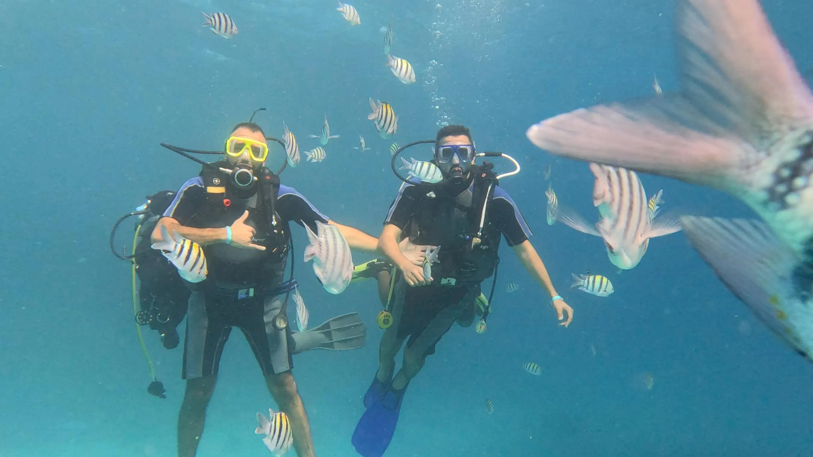 Scuba diving 🤿 trip from El Gouna Scuba-diving/IMG-20251121-WA0020.jpg