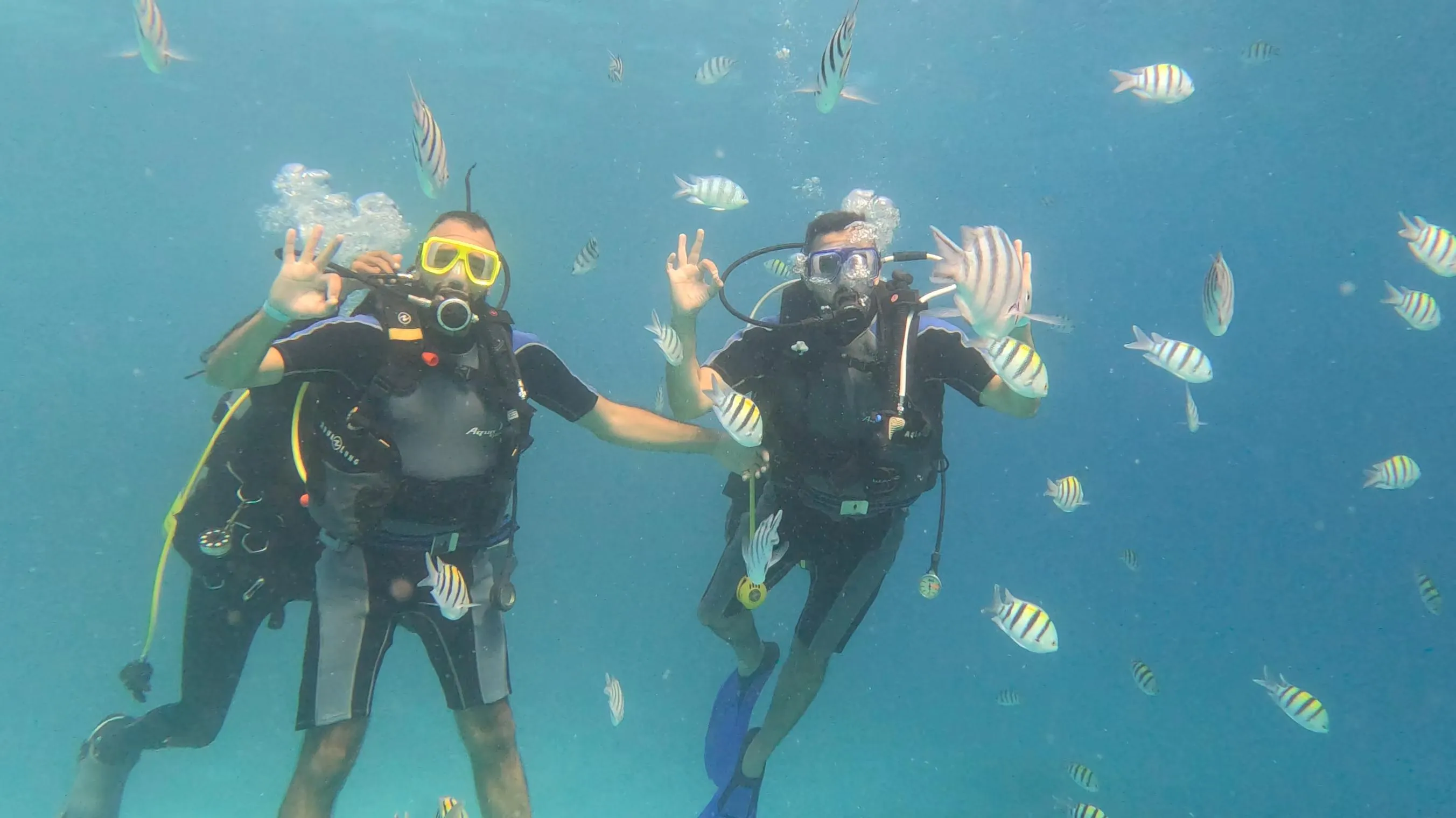 Scuba diving 🤿 trip from El Gouna Scuba-diving/IMG-20251121-WA0022.jpg