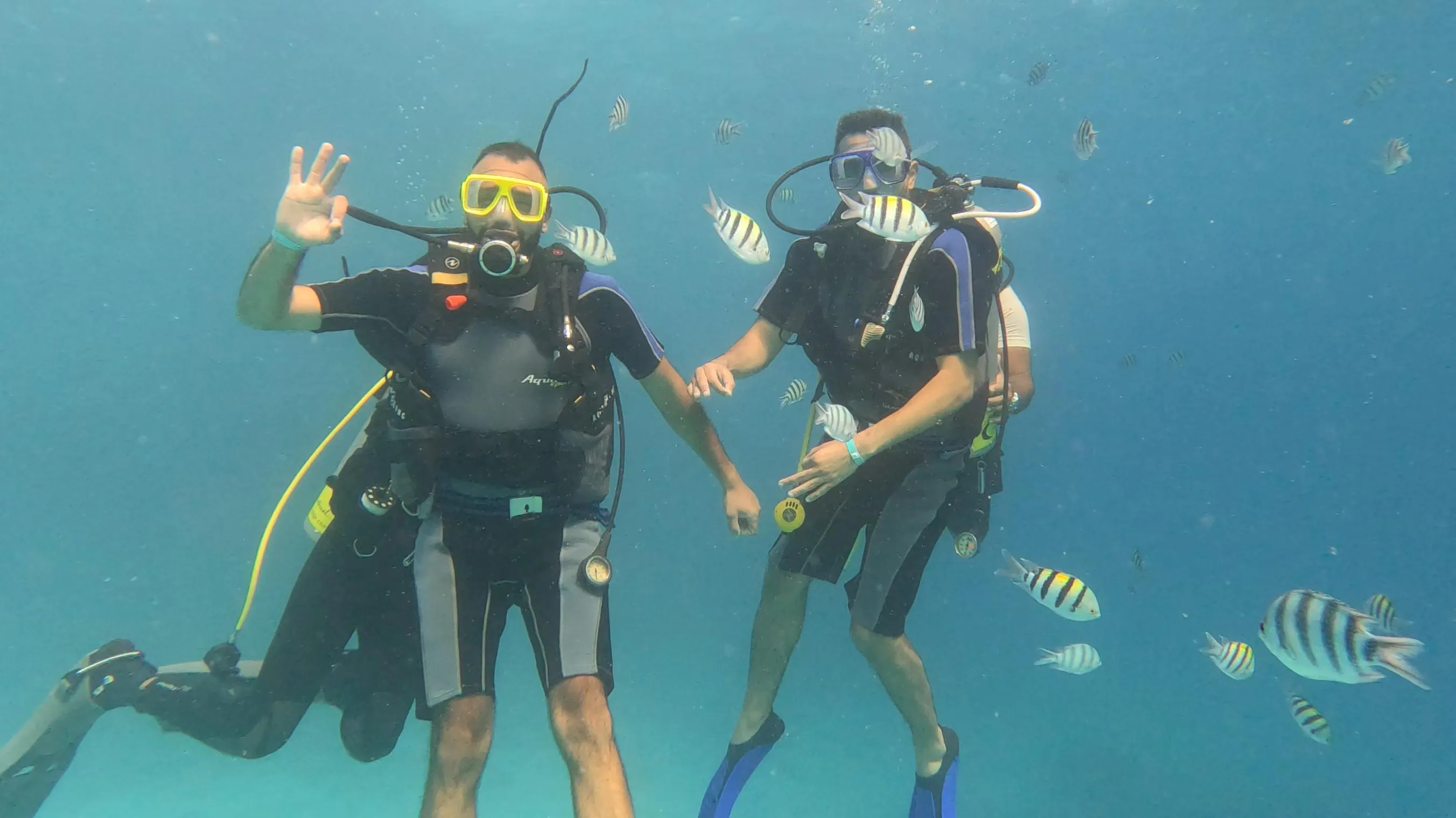 Scuba diving 🤿 trip from El Gouna Scuba-diving/IMG-20251121-WA0024.jpg