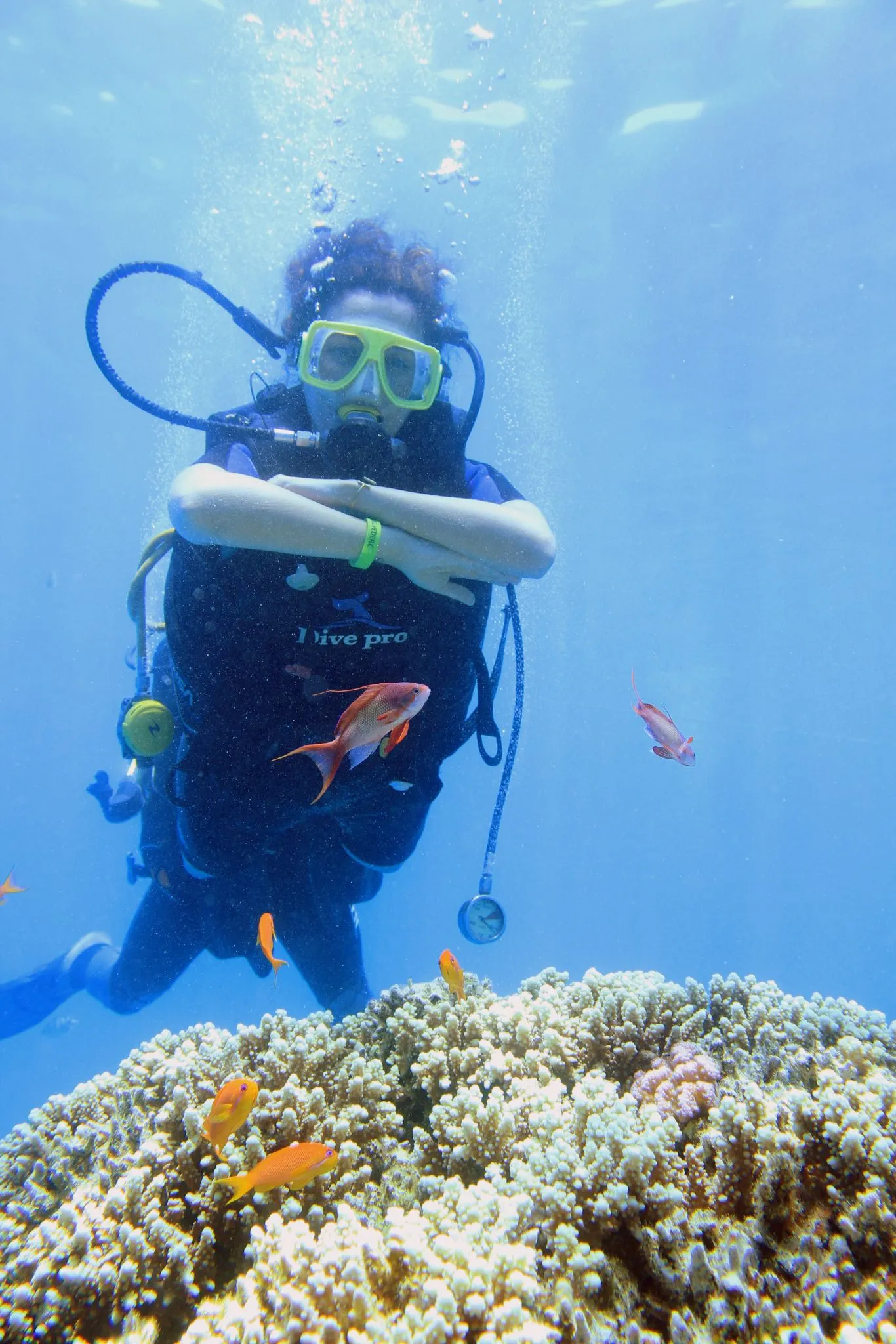 Scuba diving 🤿 trip from El Gouna Scuba-diving/IMG-20260608-WA0014.jpg