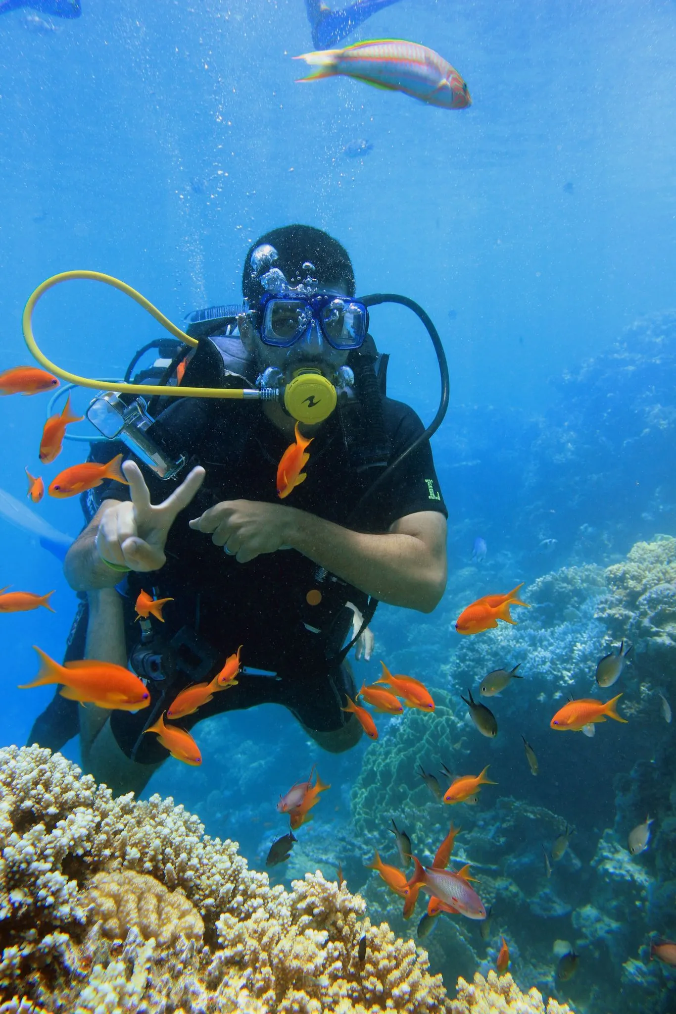 Scuba diving 🤿 trip from El Gouna Scuba-diving/IMG-20260608-WA0015.jpg