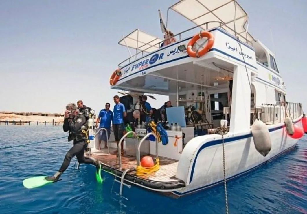 Scuba diving 🤿 trip from El Gouna Scuba-diving/IMG-20260701-WA0111.jpg