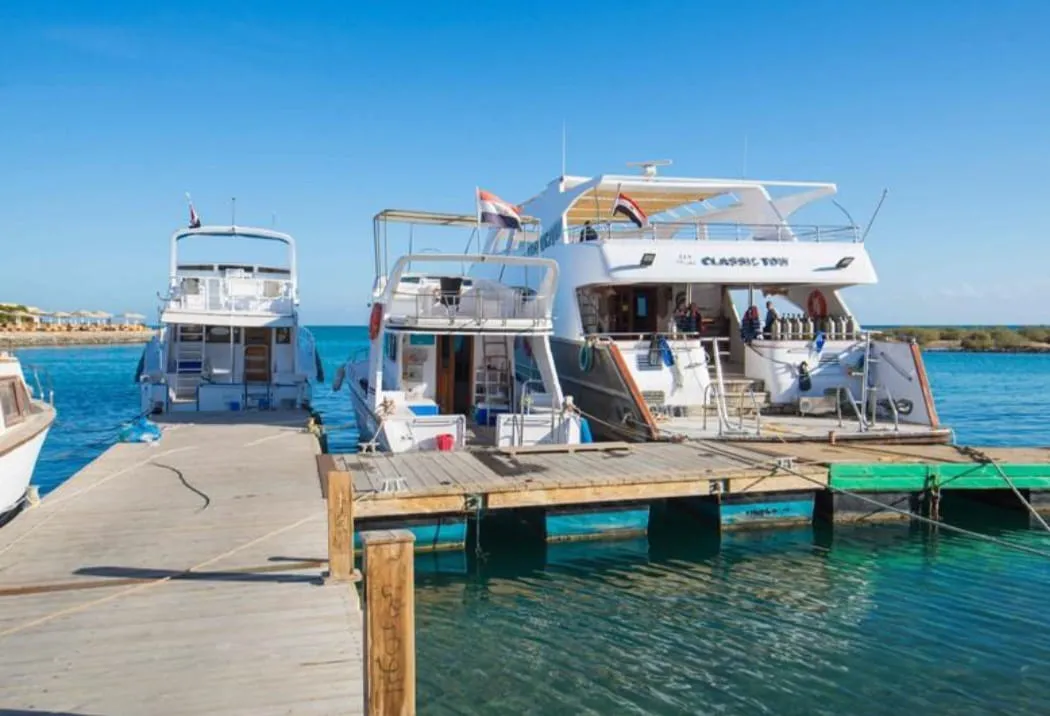 Scuba diving 🤿 trip from El Gouna Scuba-diving/IMG-20260701-WA0114.jpg