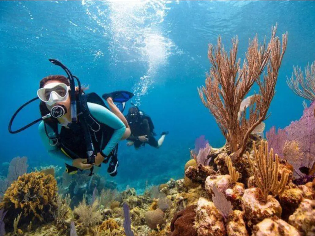 Scuba diving 🤿 trip from El Gouna Scuba-diving/IMG-20260701-WA0115.jpg