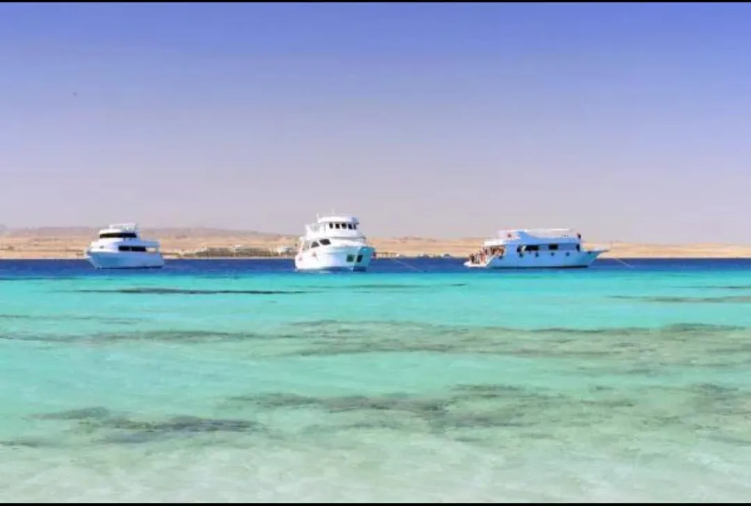Snorkeling 🤿 safiri trip EL Gouna Snorkeling-safiri-trip/IMG-20260701-WA0142.jpg