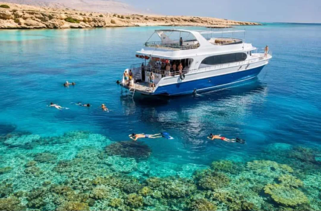 Snorkeling 🤿 safiri trip EL Gouna Snorkeling-safiri-trip/IMG-20260701-WA0144.jpg
