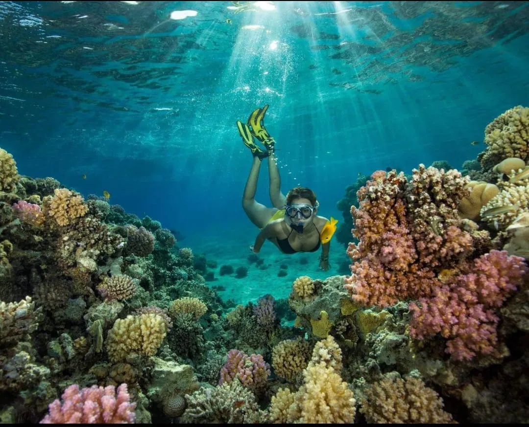 Snorkeling 🤿 safiri trip EL Gouna Snorkeling-safiri-trip/IMG-20260701-WA0145.jpg