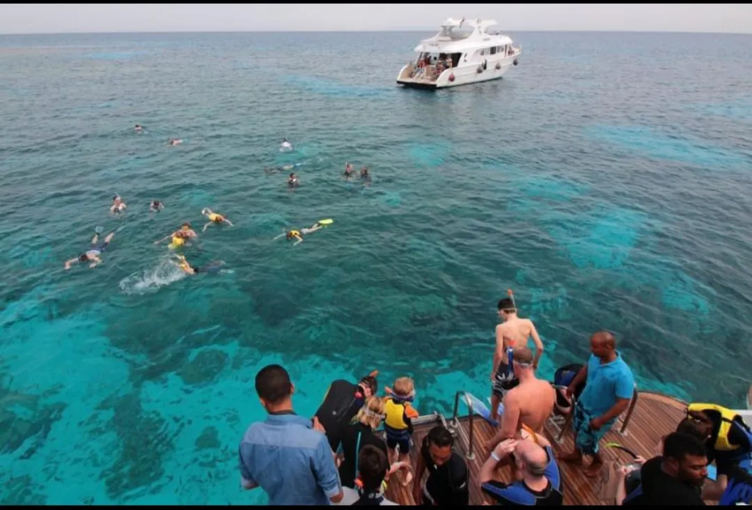 Snorkeling 🤿 safiri trip EL Gouna Snorkeling-safiri-trip/IMG-20260701-WA0152.jpg