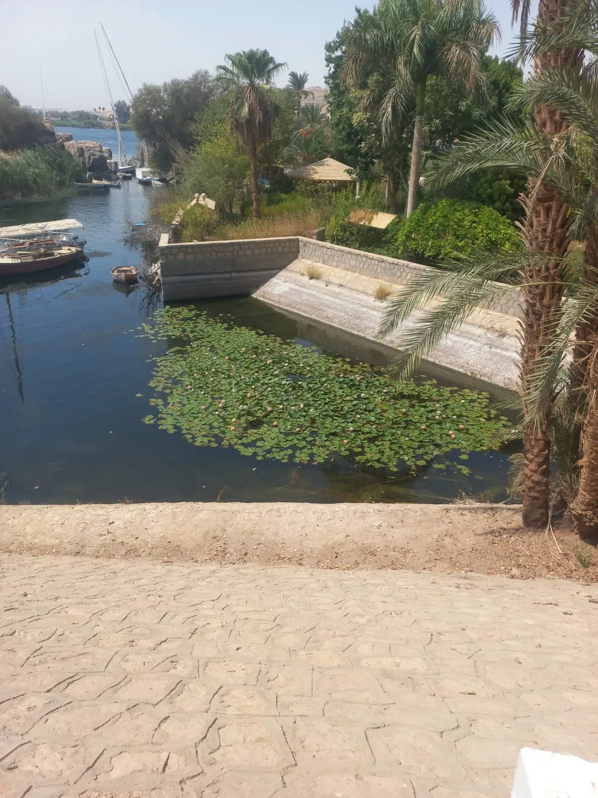  botanical-garden-elephantine-island-tour-aswan/IMG-20260915-WA0051.jpg
