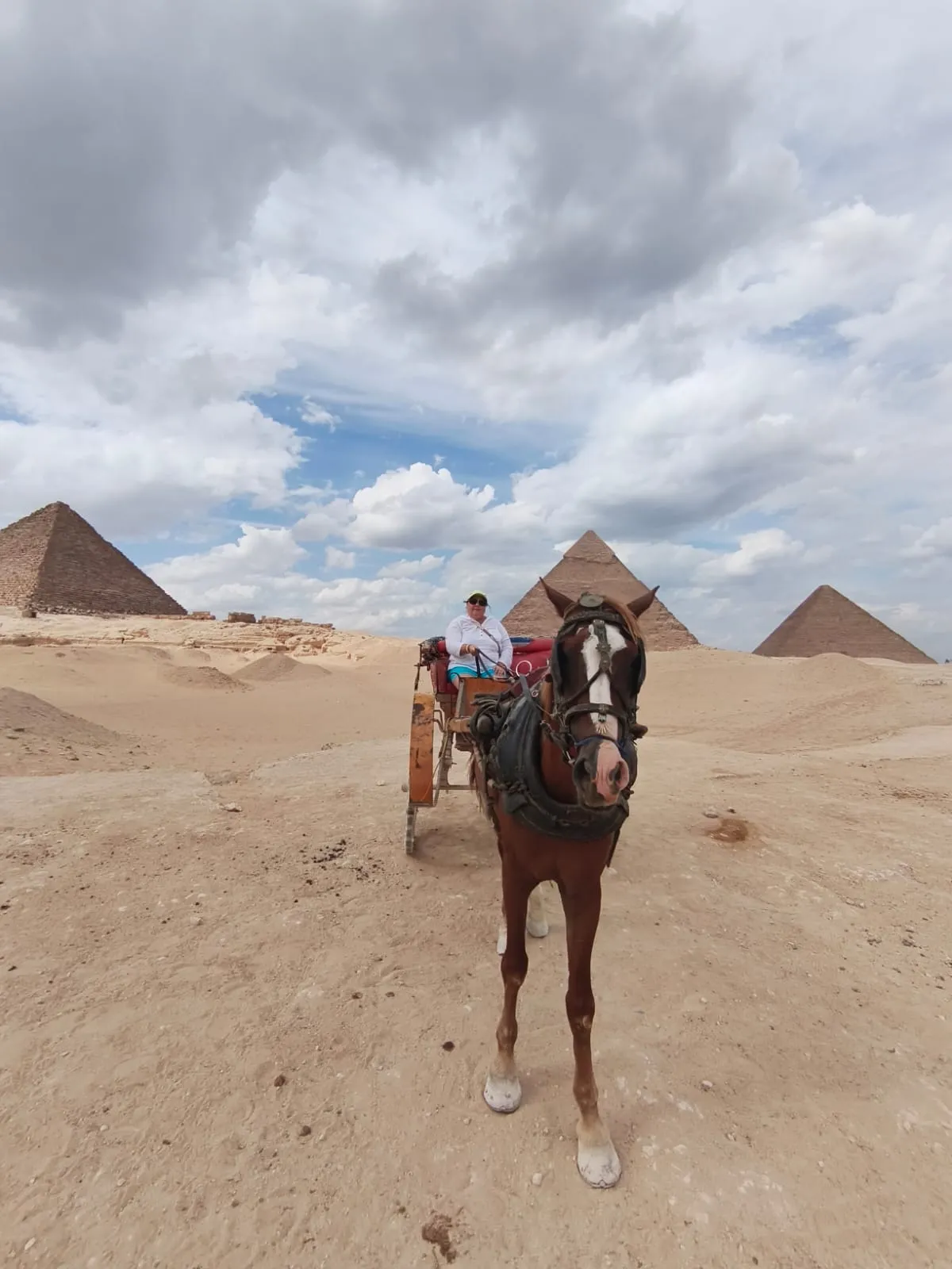 🌍 Cairo Day Tour – Creative Travel Egypt cairo-day-tour-creative-travel-egypt/IMG-20261002-WA0090.jpg