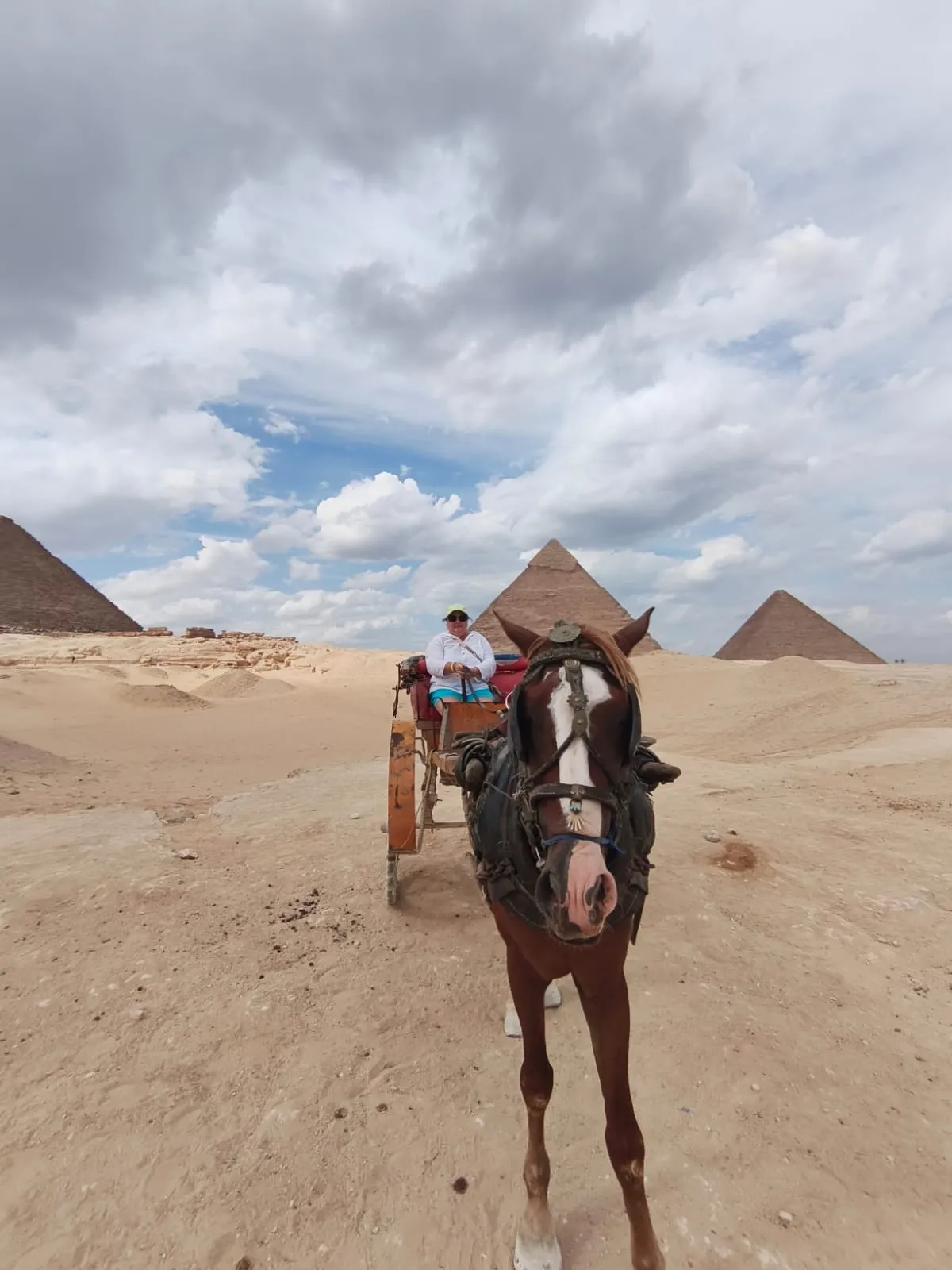 🌍 Cairo Day Tour – Creative Travel Egypt cairo-day-tour-creative-travel-egypt/IMG-20261002-WA0094.jpg
