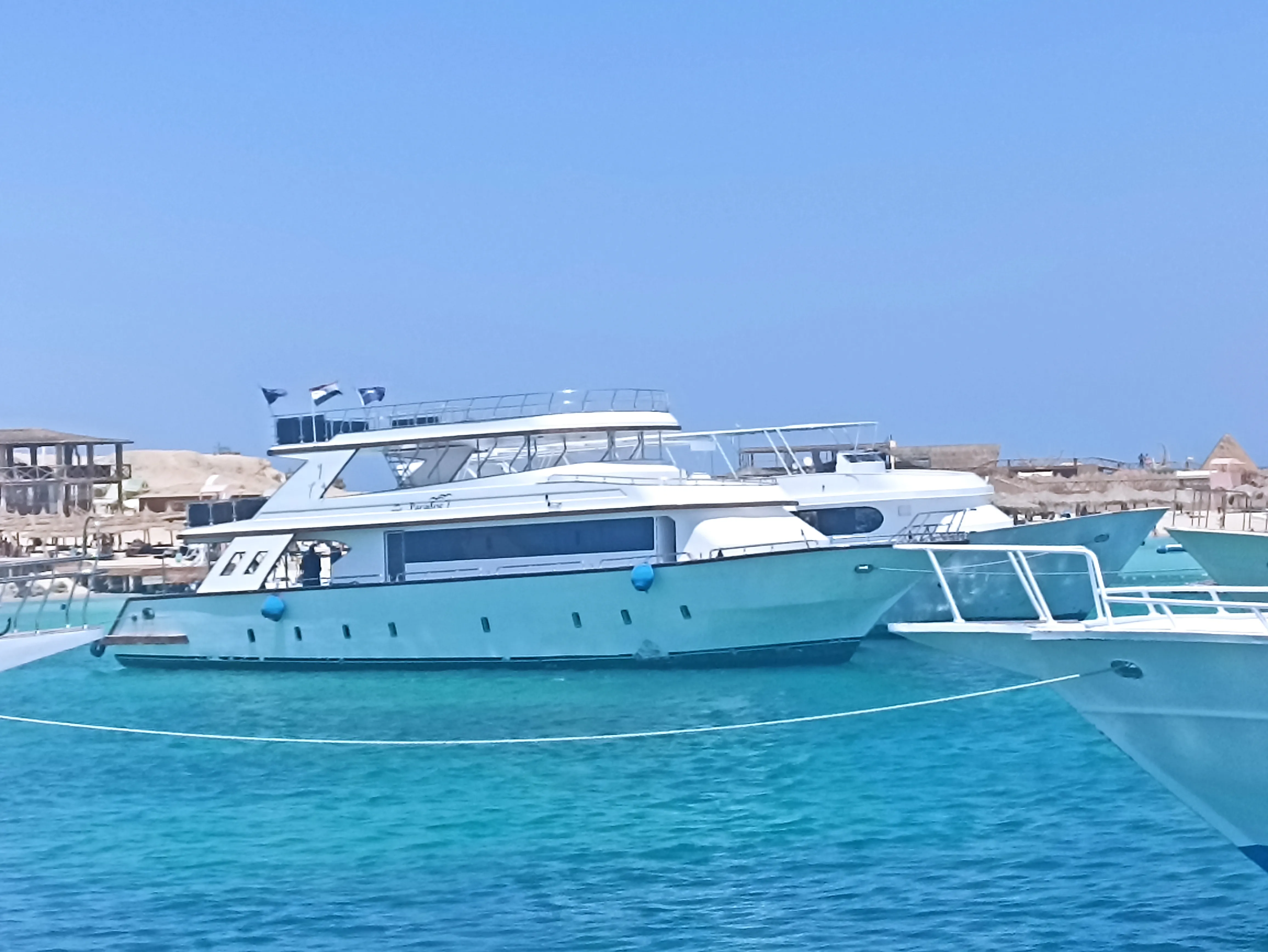 🌿 Natural Reserve Trip – Hurghada natural-reserve-trip-hurghada/IMG_20250719_141152.jpg