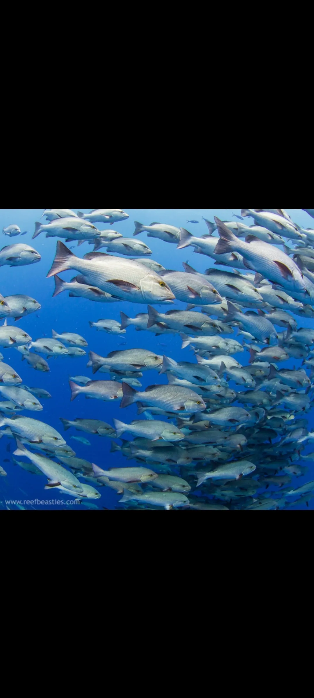 🌿 Natural Reserve Trip – Hurghada natural-reserve-trip-hurghada/Screenshot_2025-07-09-02-00-45-745_com_miui_gallery.jpg