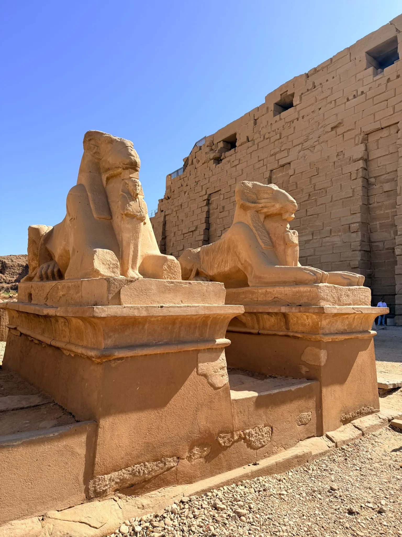 One-Day Luxor Tour from Hurghada one-day-luxor-tour-from-hurghada/IMG-20260310-WA0026.jpg