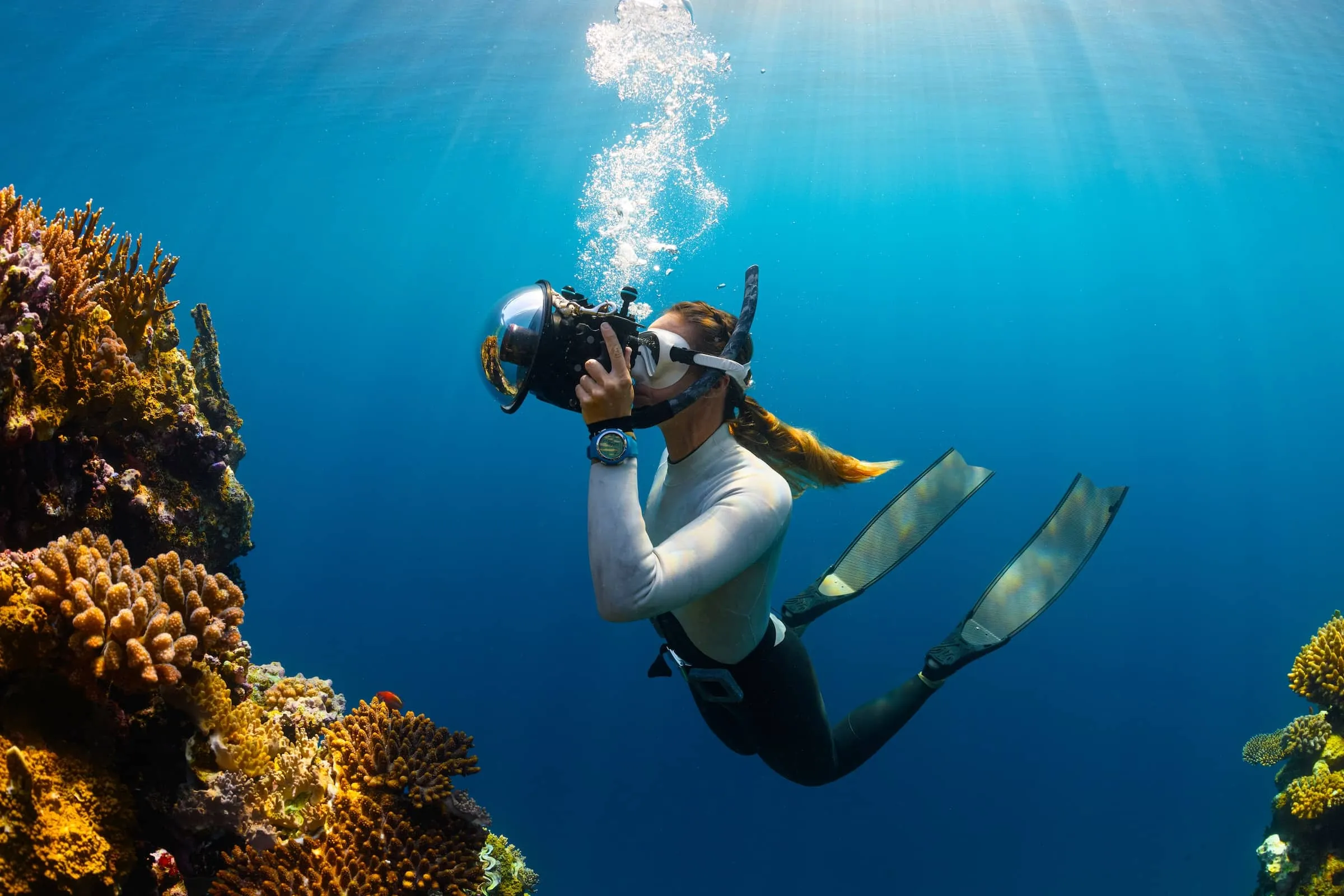 🤿 Scuba Diving Trip – Hurghada