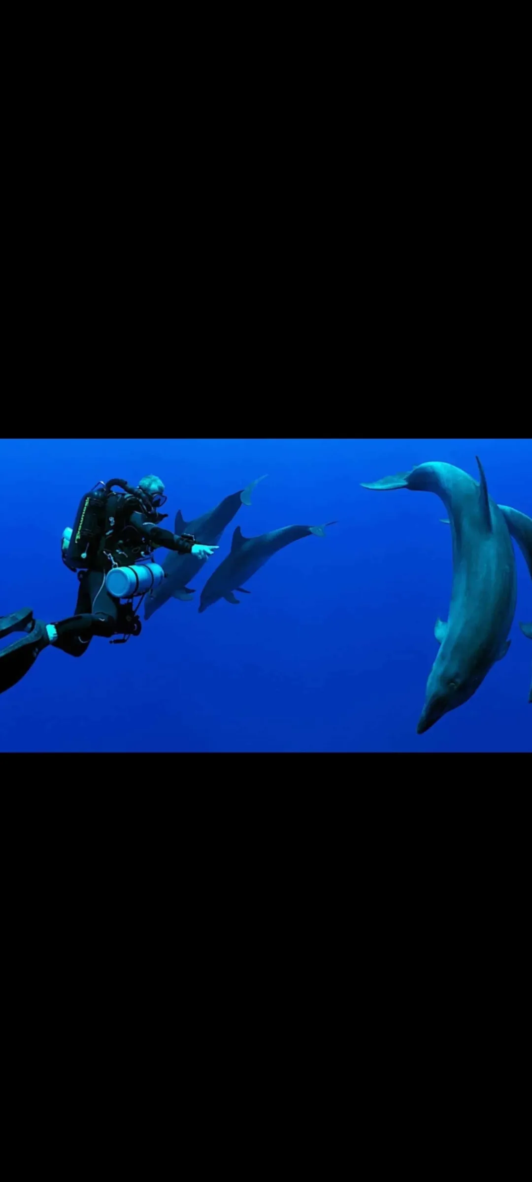 🤿 Scuba Diving Trip – Hurghada scuba-diving-trip-hurghada/Screenshot_2025-07-09-02-02-52-732_com_miui_gallery.jpg