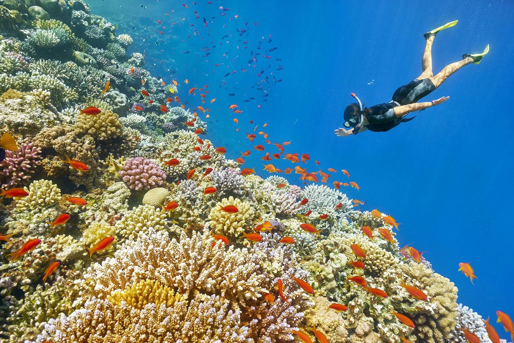 🤿 Snorkeling Adventure Trip – Hurghada snorkeling-adventure-trip-hurghada/2000x2000-0-70-b858495d8a264c6e498a03a98d22f1a0.jpg
