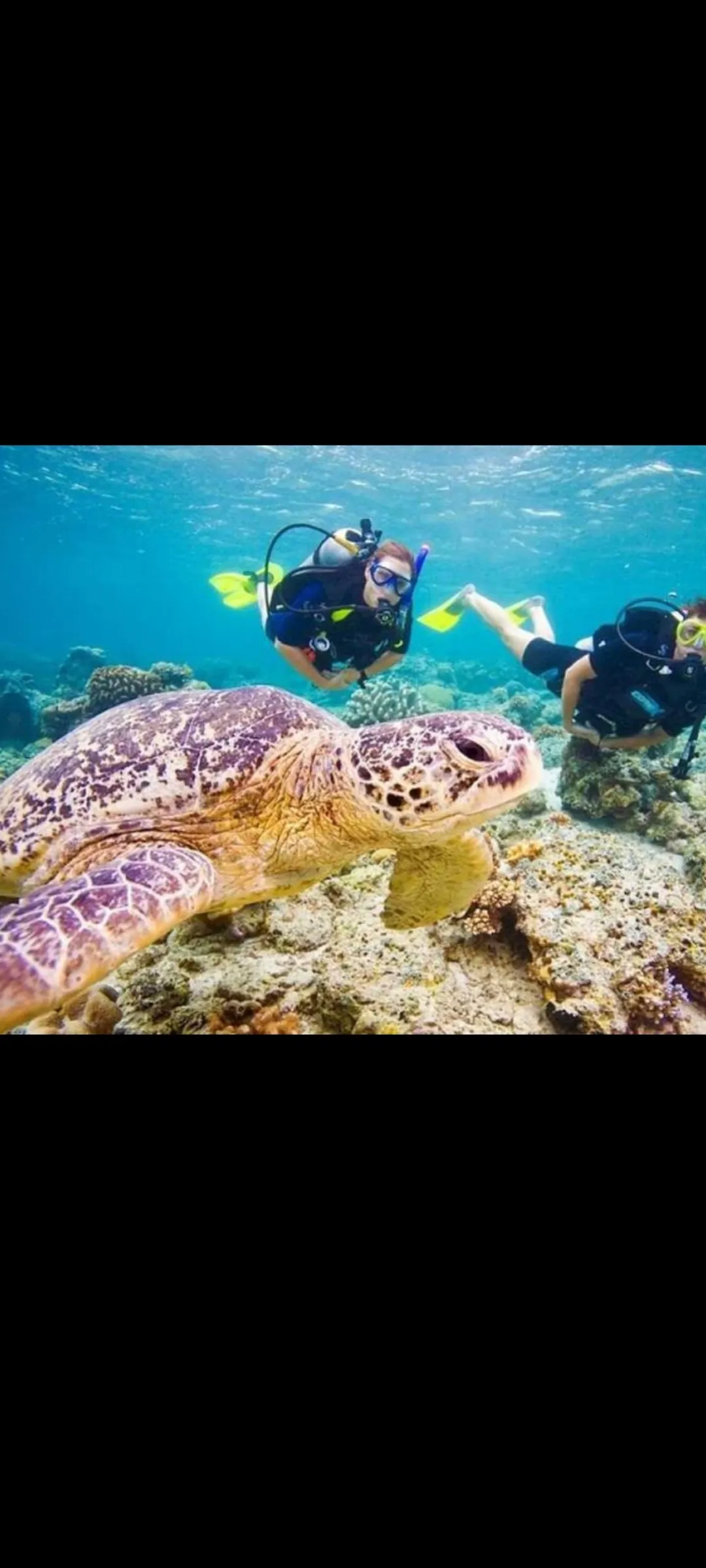 🤿 Snorkeling Adventure Trip – Hurghada snorkeling-adventure-trip-hurghada/Screenshot_2025-07-09-02-03-04-207_com_miui_gallery.jpg