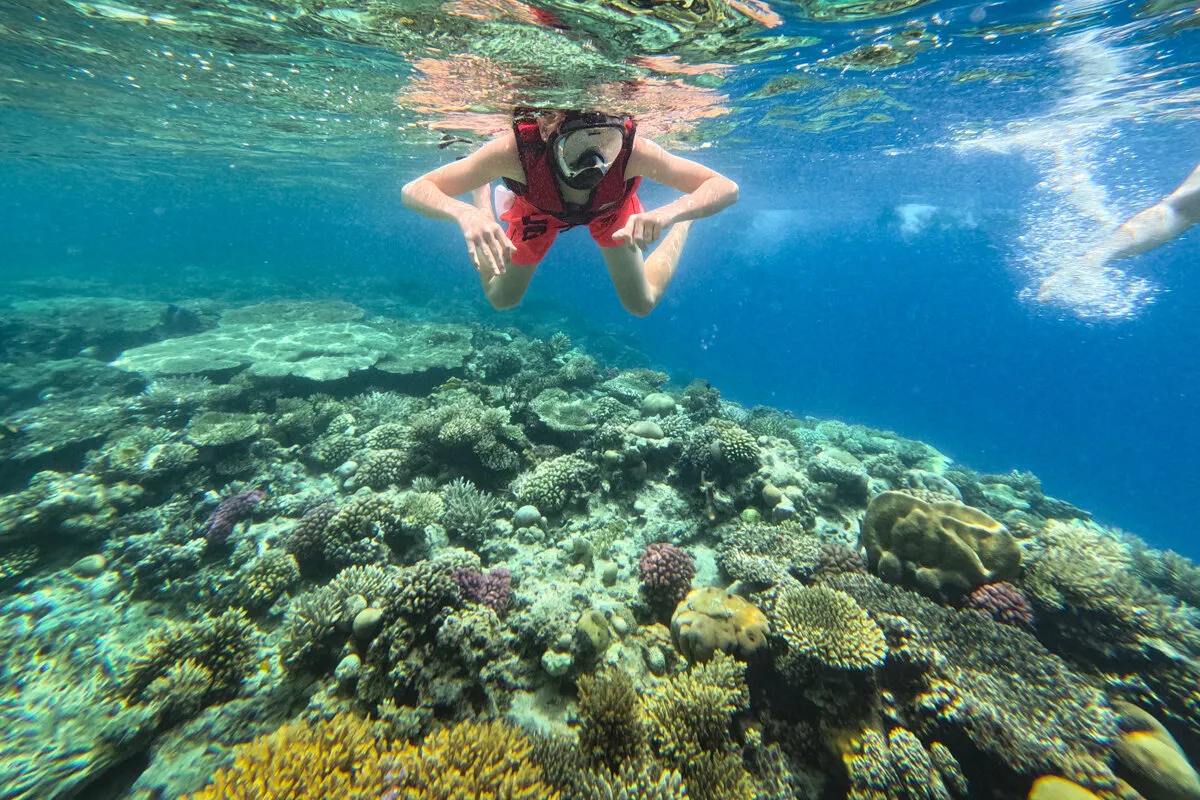 🤿 Snorkeling Adventure Trip – Hurghada snorkeling-adventure-trip-hurghada/nage-masque-tuba.jpg